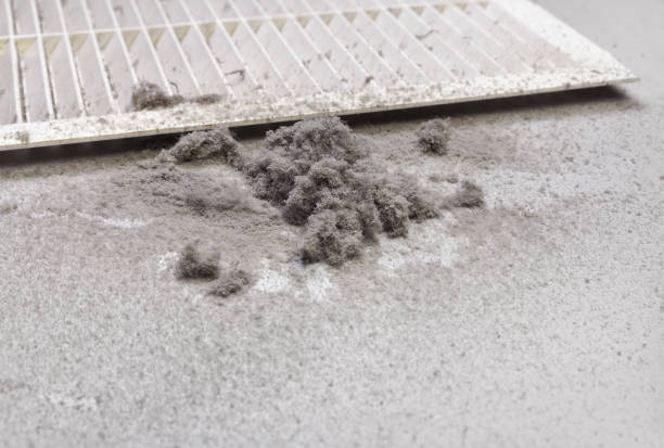 Best Local Air Duct Cleaning Services  in Herrin, IL