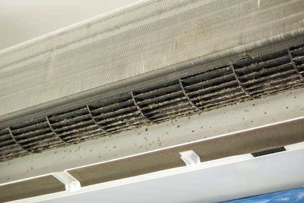 Best Air Duct Mold Removal  in Herrin, IL